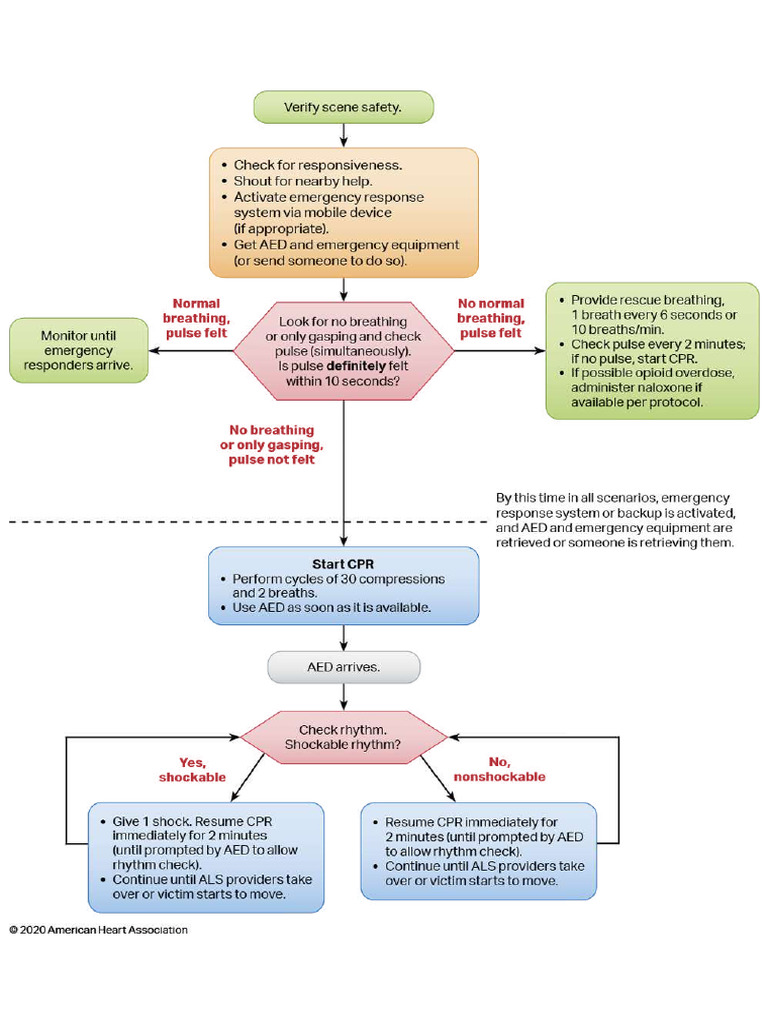 Algorithm-BLS Adult P1 | PDF