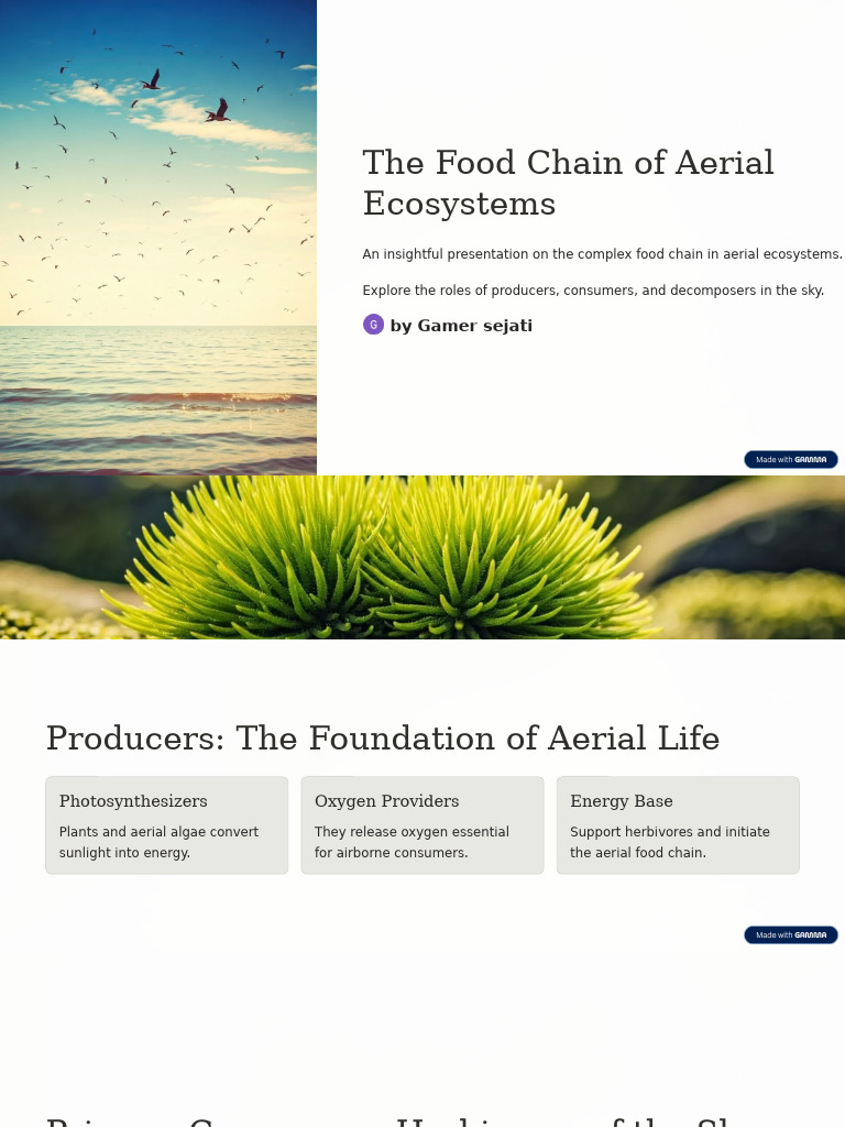 The Food Chain of Aerial Ecosystems | PDF