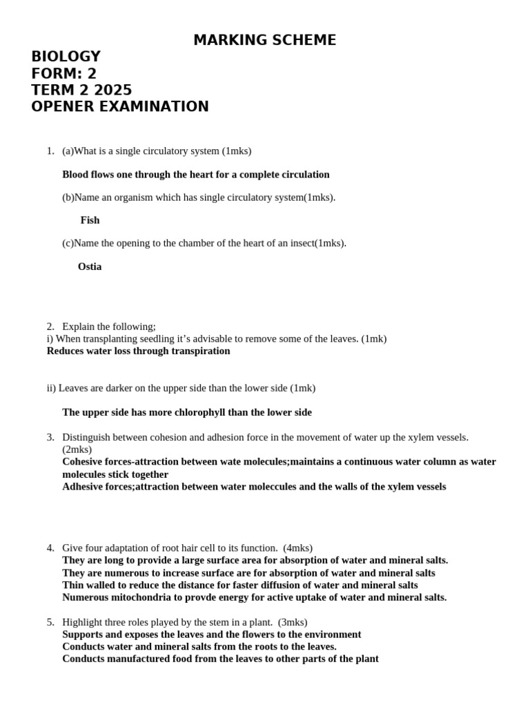Biology Marking Scheme Term 2 2025 | PDF | Root | Leaf