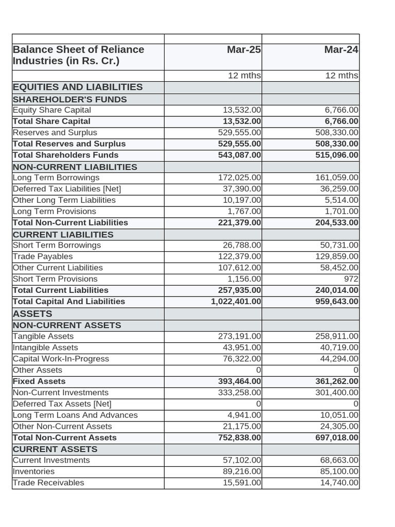 Reliance Industries Balance Sheet 2024-25 | PDF