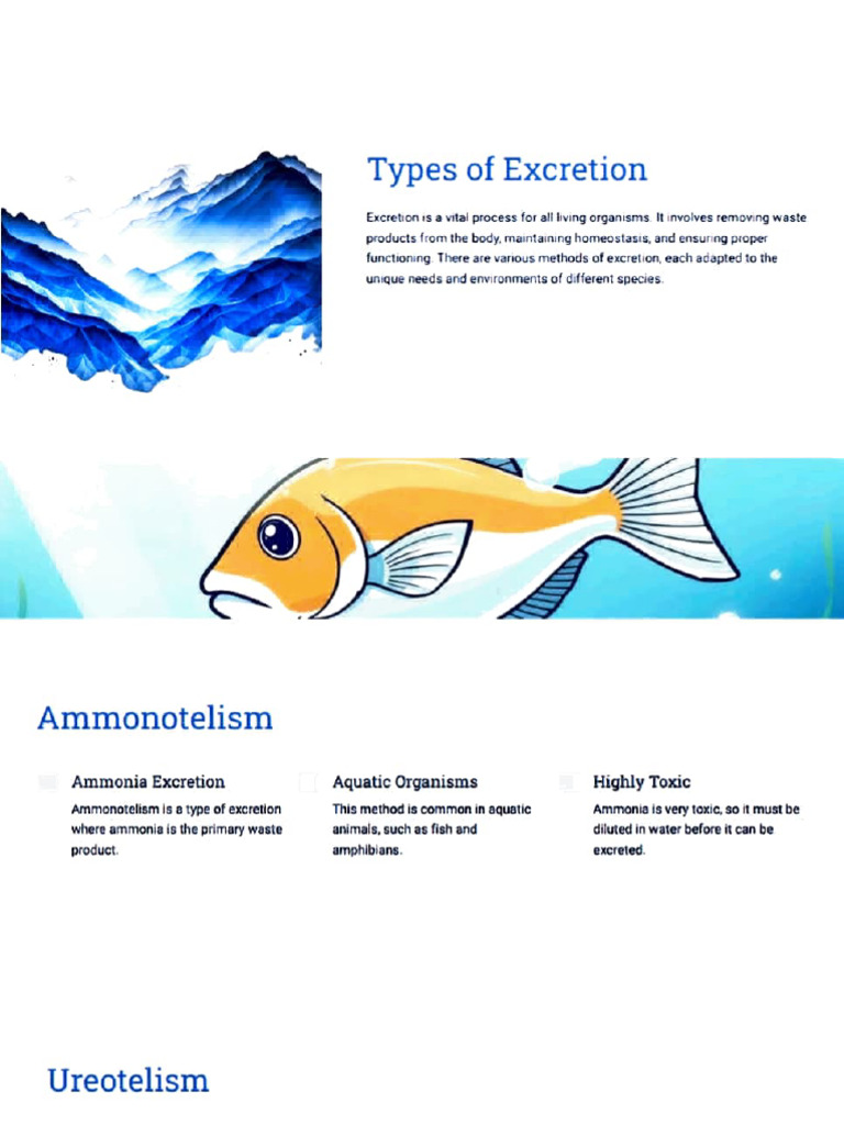 Adobe Scan 18 Oct 2024 | PDF | Urine | Excretion