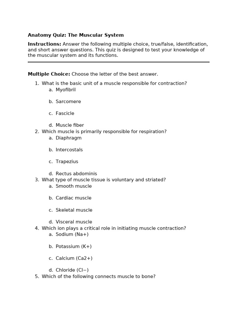 Muscular System Anatomy Quiz | PDF | Skeletal Muscle | Muscle Contraction