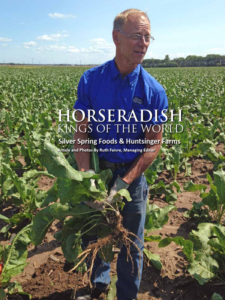 May Silver Springs Foods Huntsinger Farms | PDF | Mustard (Condiment ...