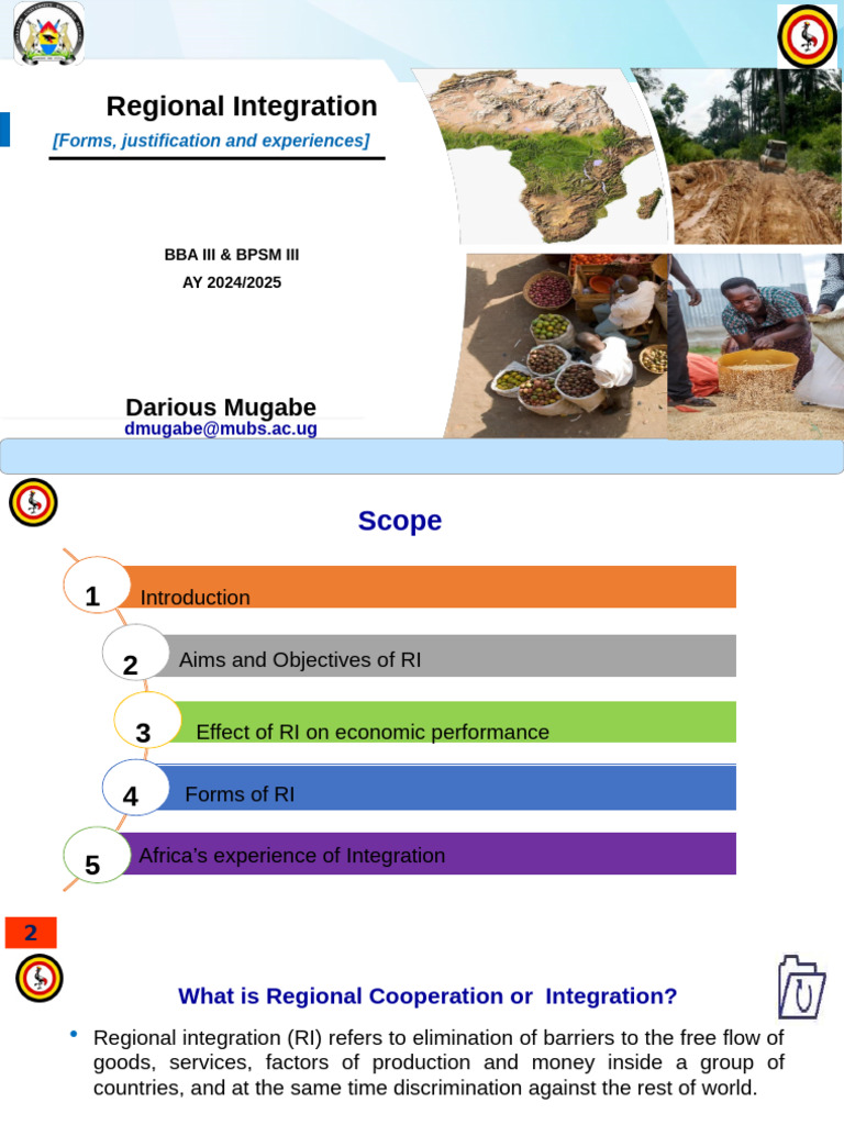 Understanding Regional Integration Dynamics | PDF | Exports | Tariff