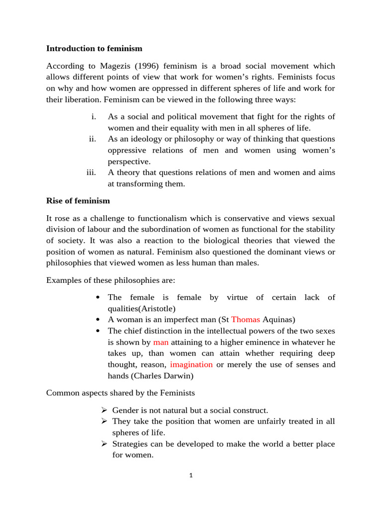 Overview of Feminism Concepts | PDF | Gender Studies | Feminism