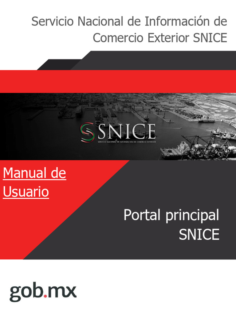 Manual de Usuario SNICE: Comercio Exterior | PDF | El comercio ...