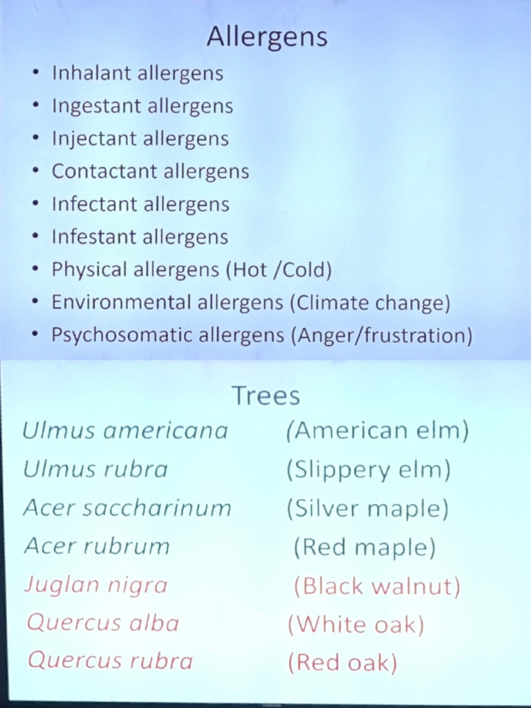3 Allergy | PDF