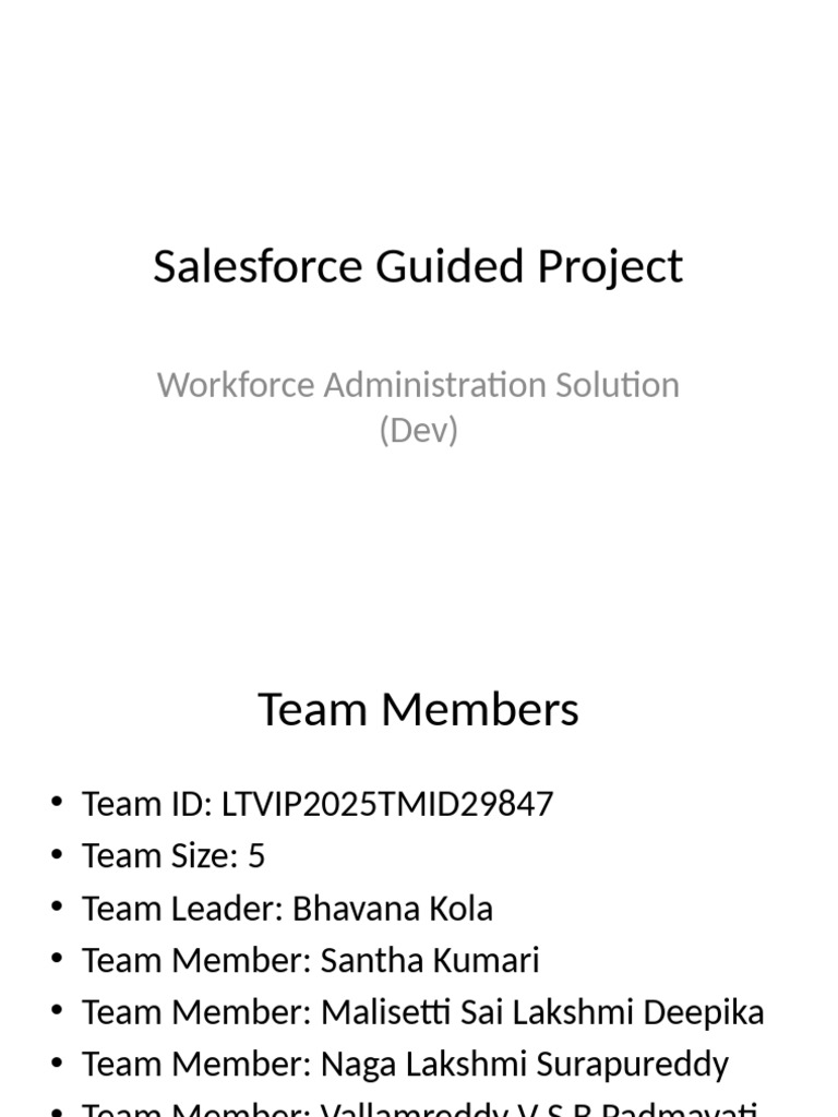 Updated Salesforce Project Team Presentation | PDF