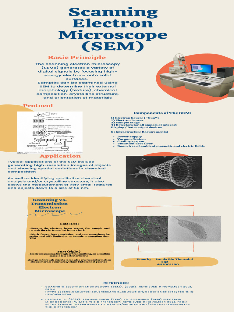 SEM vs TEM: Key Differences Explained | PDF | Scanning Electron ...