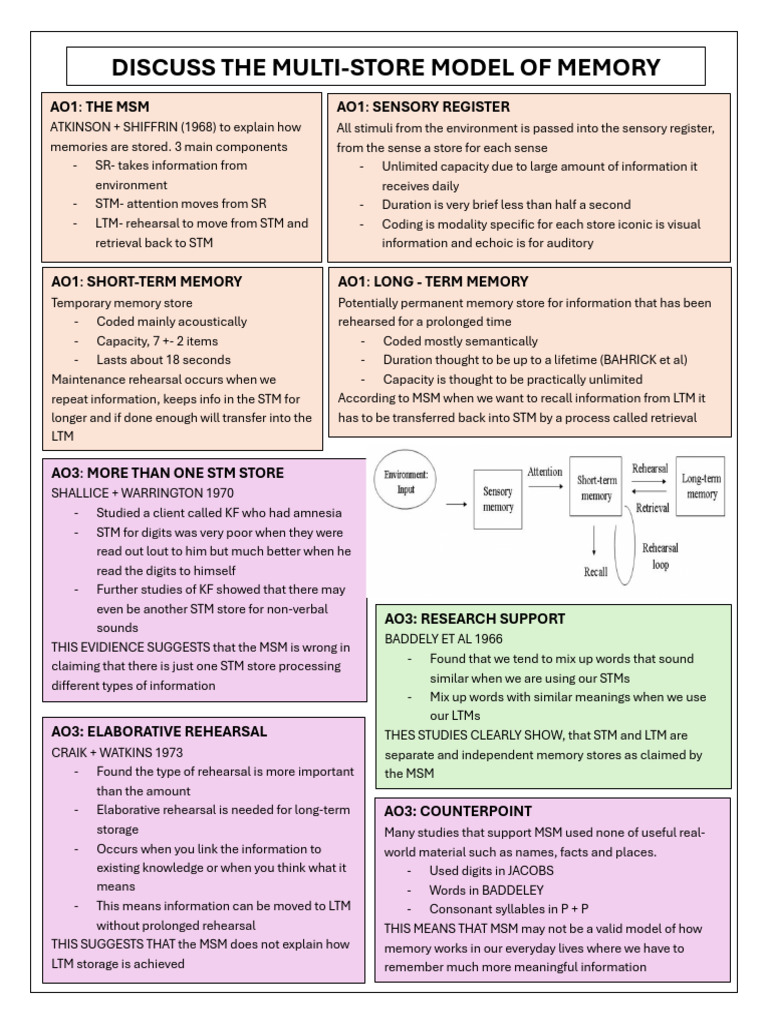 Memory Models: MSM and WMM Explained | PDF | Psychology | Behavioural ...