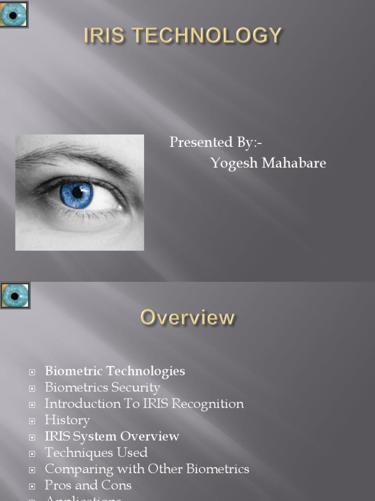 Iris Recognition Insights | PDF | Business | Computers