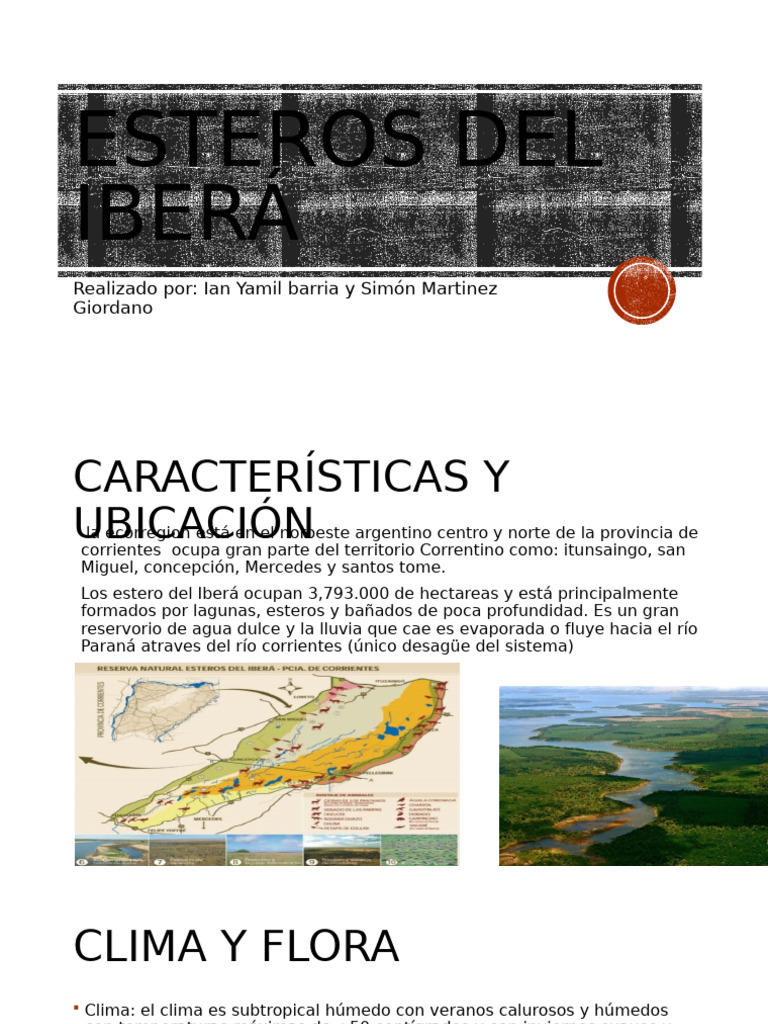 Características y ubicación de los Esteros del Iberá | PDF
