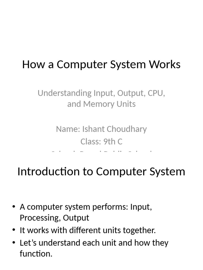 How Computer System Works Class9 Ishant | PDF