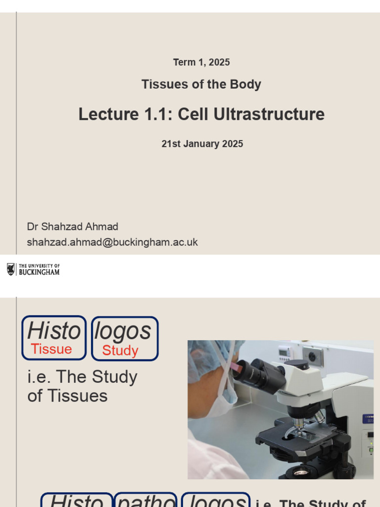 Cell Ultrastructure and Tissue Types | PDF | Endoplasmic Reticulum ...