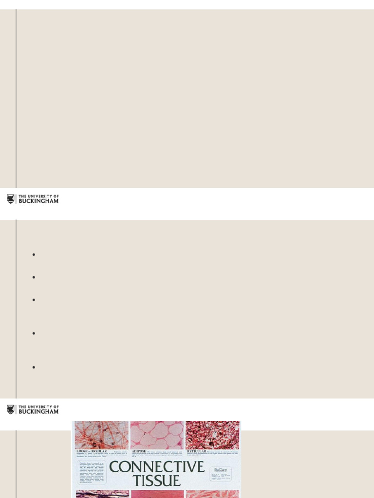 Overview of Connective Tissue Types | PDF | Connective Tissue | Collagen