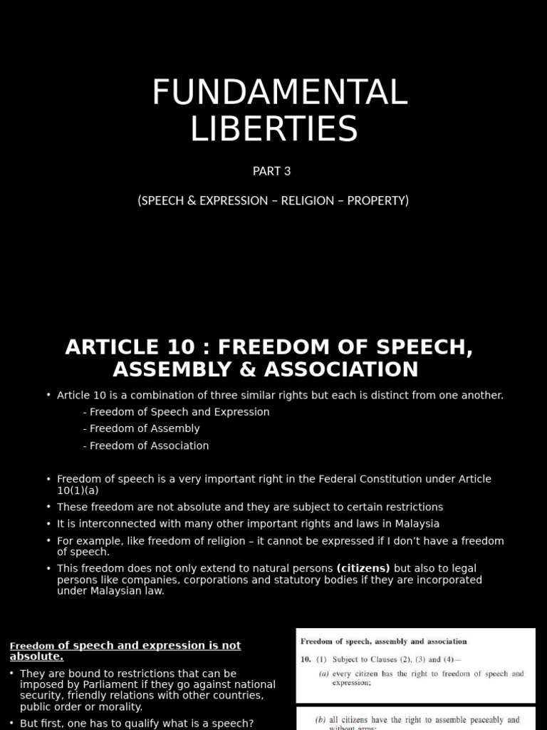 Chapter 3 Fundamental Liberties | PDF | Freedom Of Speech | Justice