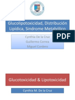 Gluco y Lipotoxicidad Final