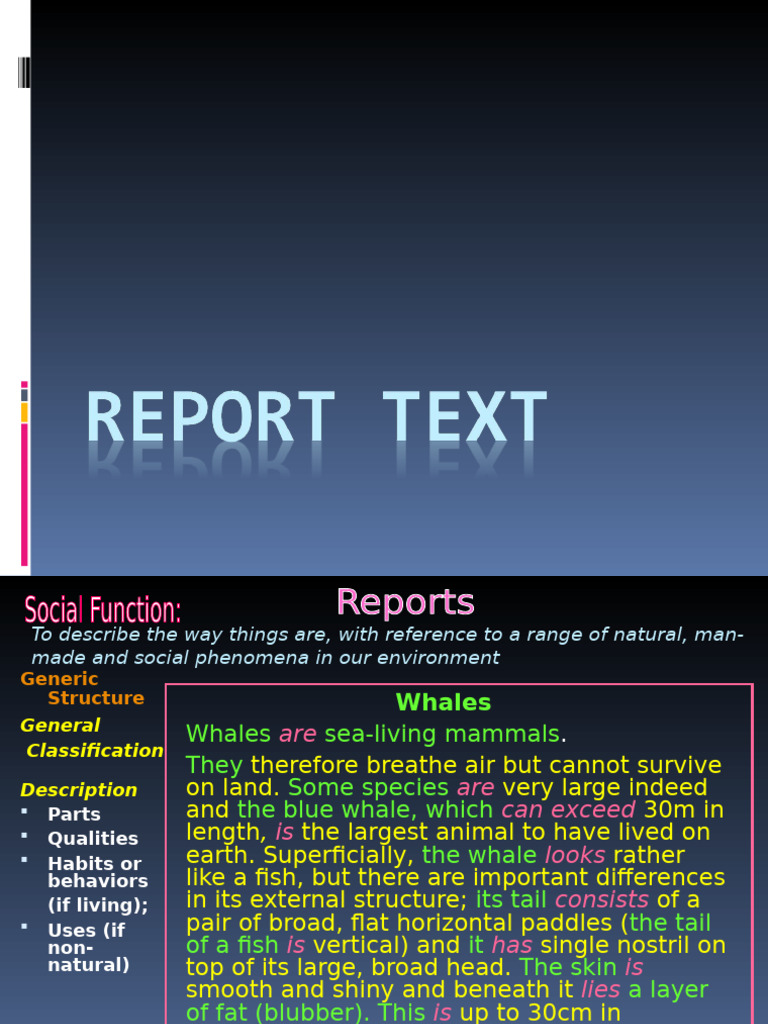 Report Text | PDF