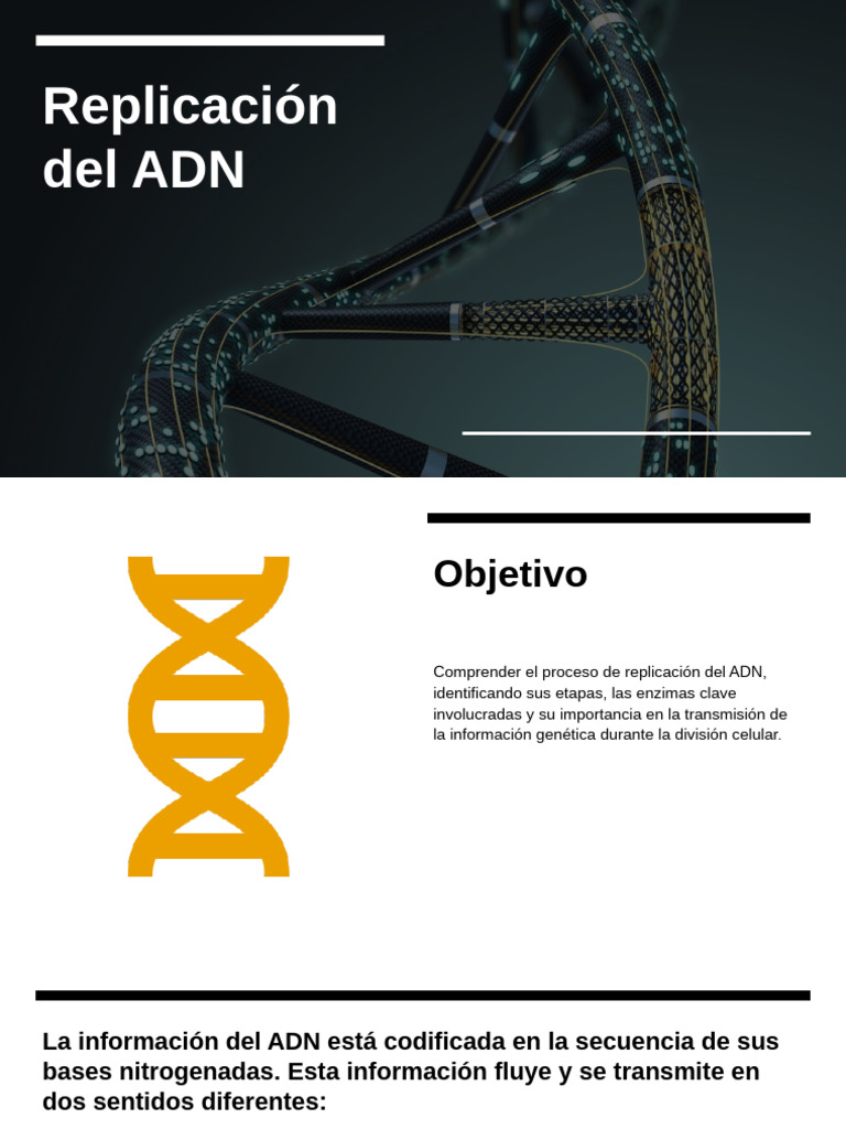 Proceso de Replicación del ADN | PDF | Replicación De Adn | Adn