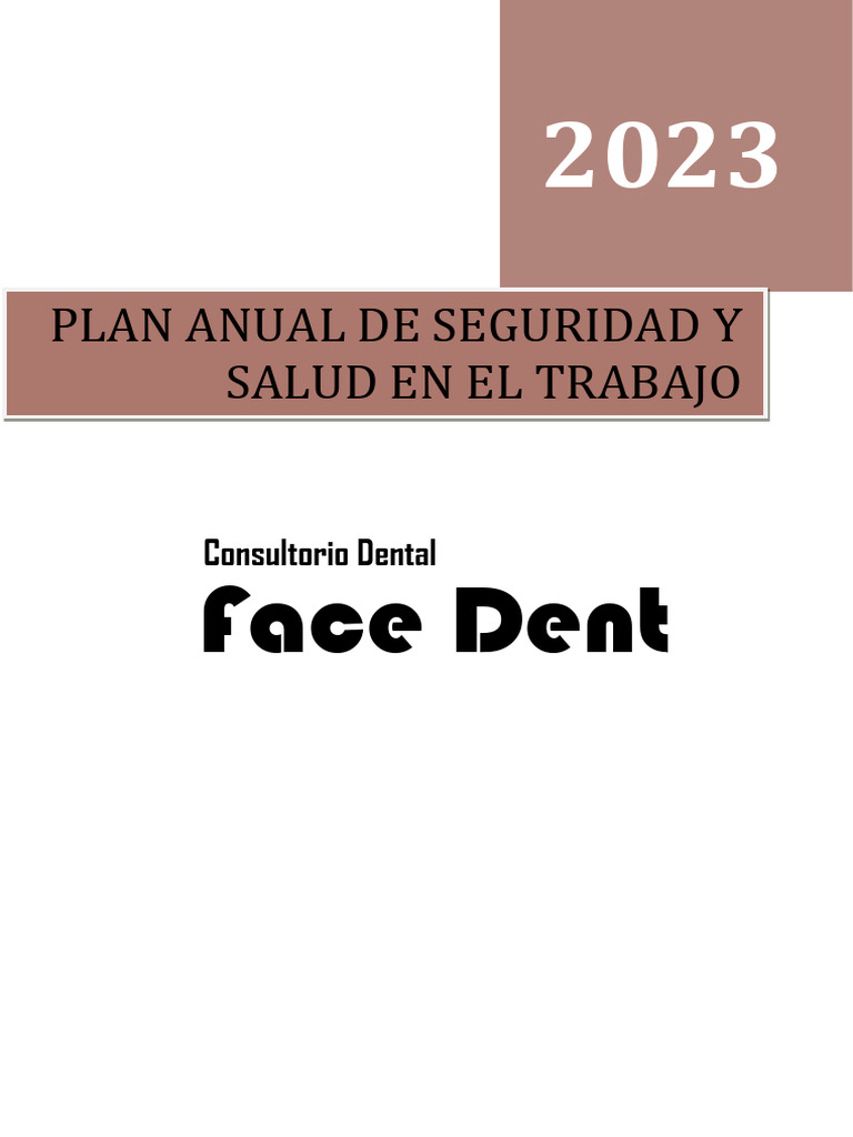 Plan Anual de Seguridad y Salud en El Trabajo 2023 | PDF | Seguridad y ...