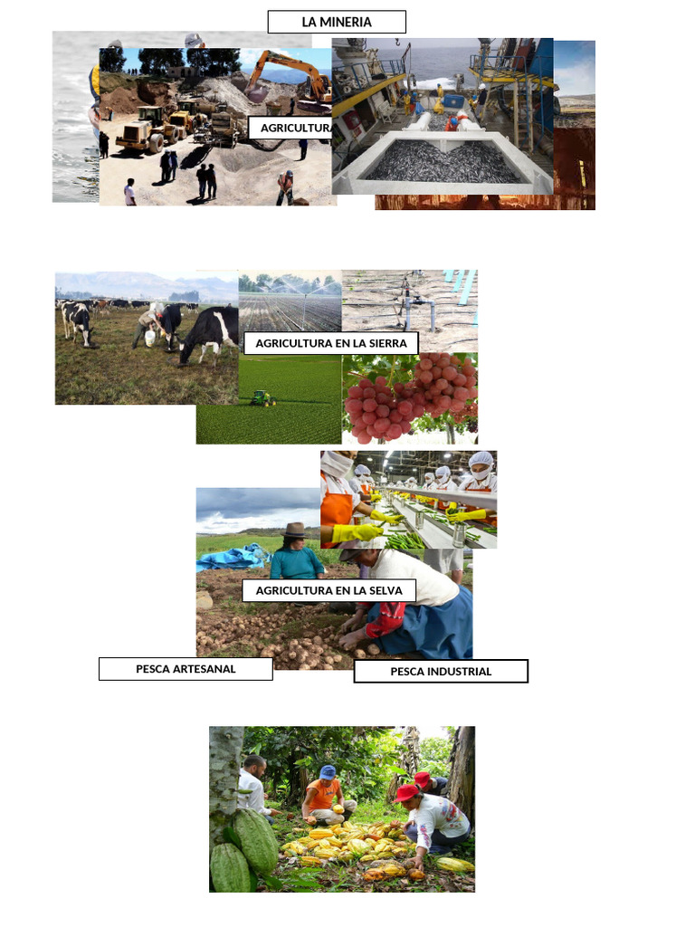 Actividades Economicas | PDF