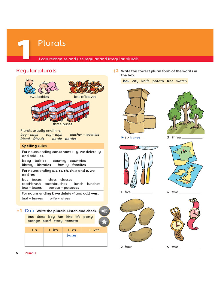 Understanding Plurals and Countability | PDF | Plural | Noun