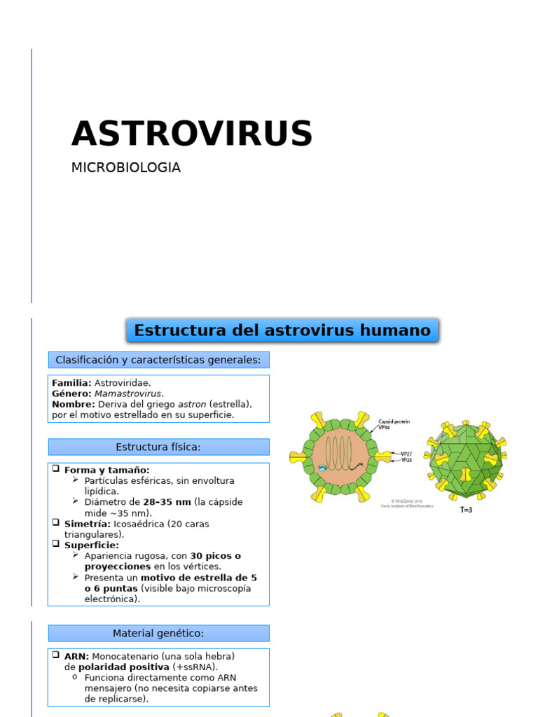 Estructura y Replicación del Astrovirus | PDF | Rna | Virus