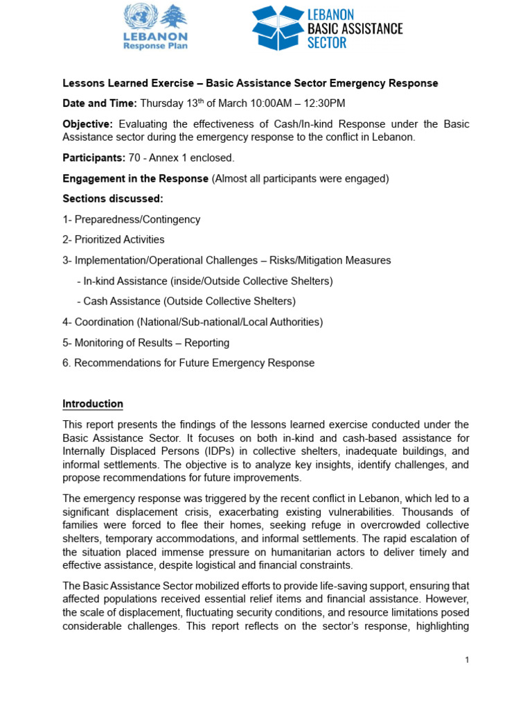 Lessons Learned: Lebanon Emergency Response | PDF | Emergency ...