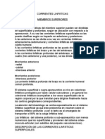 Corrientes linfáticas miembros superiores e inferiores