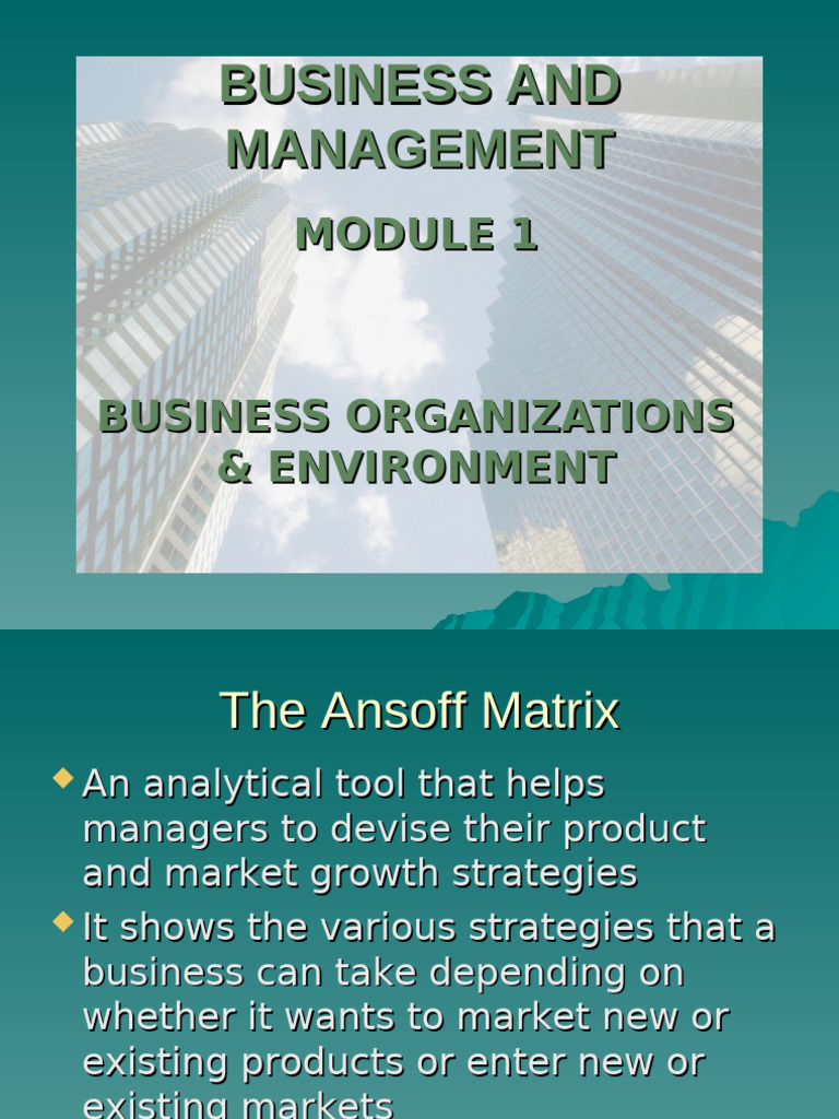Unit 1.17 - Ansoff Matrix | PDF