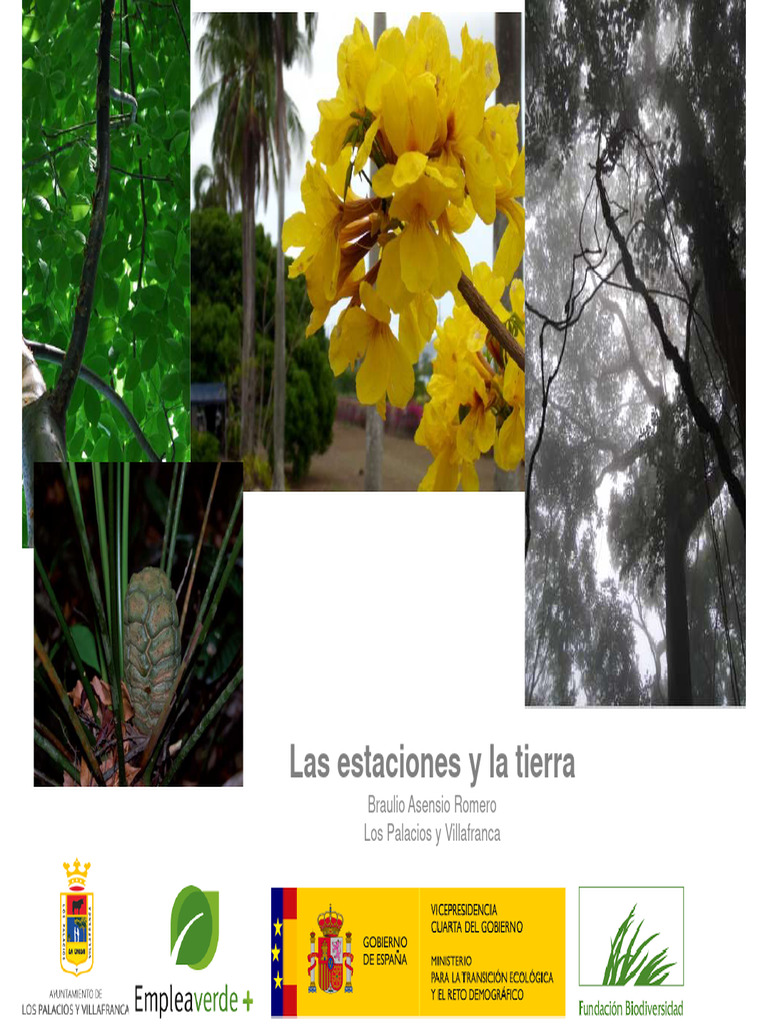 Presentación 1 La Tierra EAIP | PDF