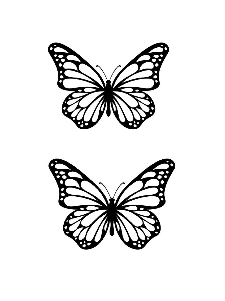 Butterfly | PDF