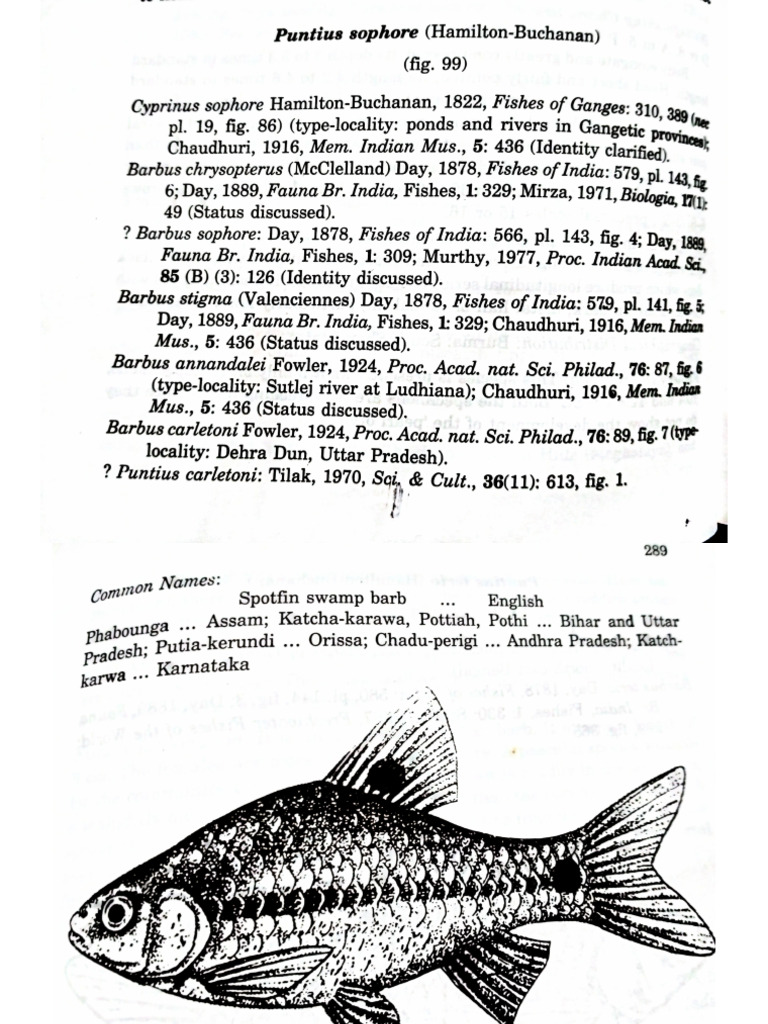 Fishery Information | PDF