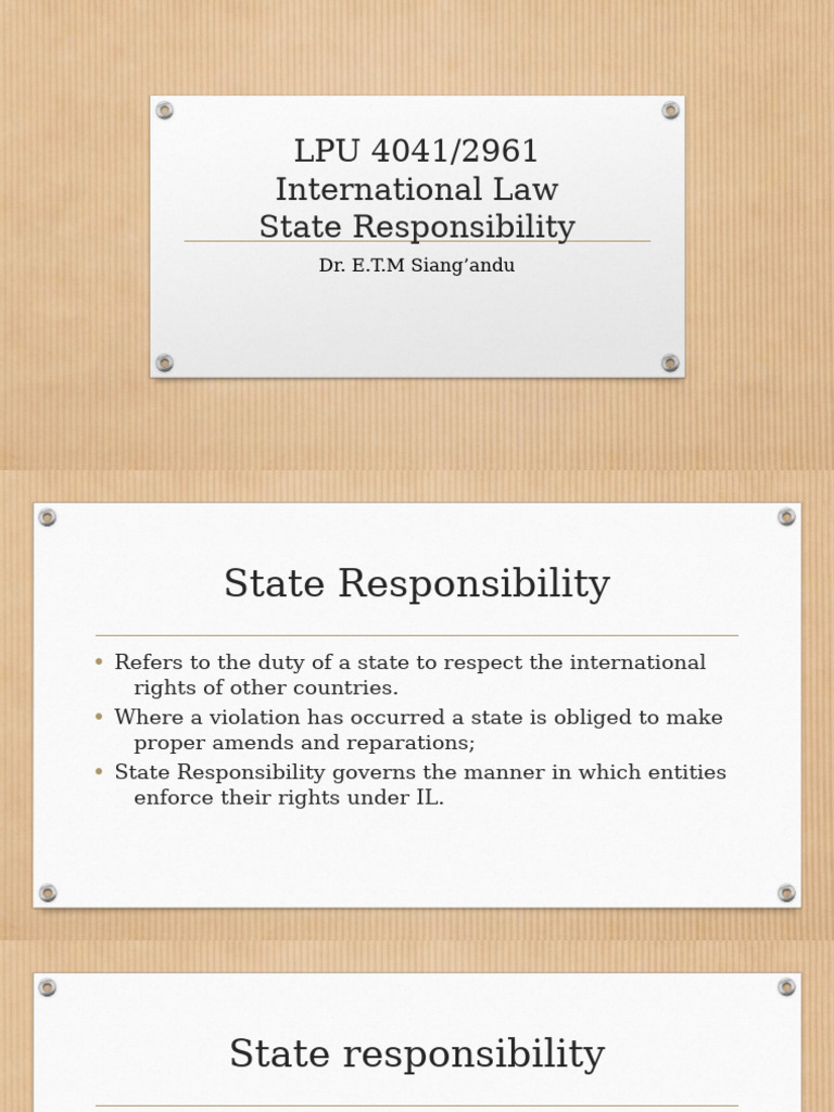 Understanding State Responsibility in International Law | PDF ...