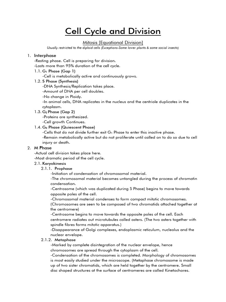 Cell Cycle: Mitosis and Meiosis Explained | PDF | Mitosis | Meiosis