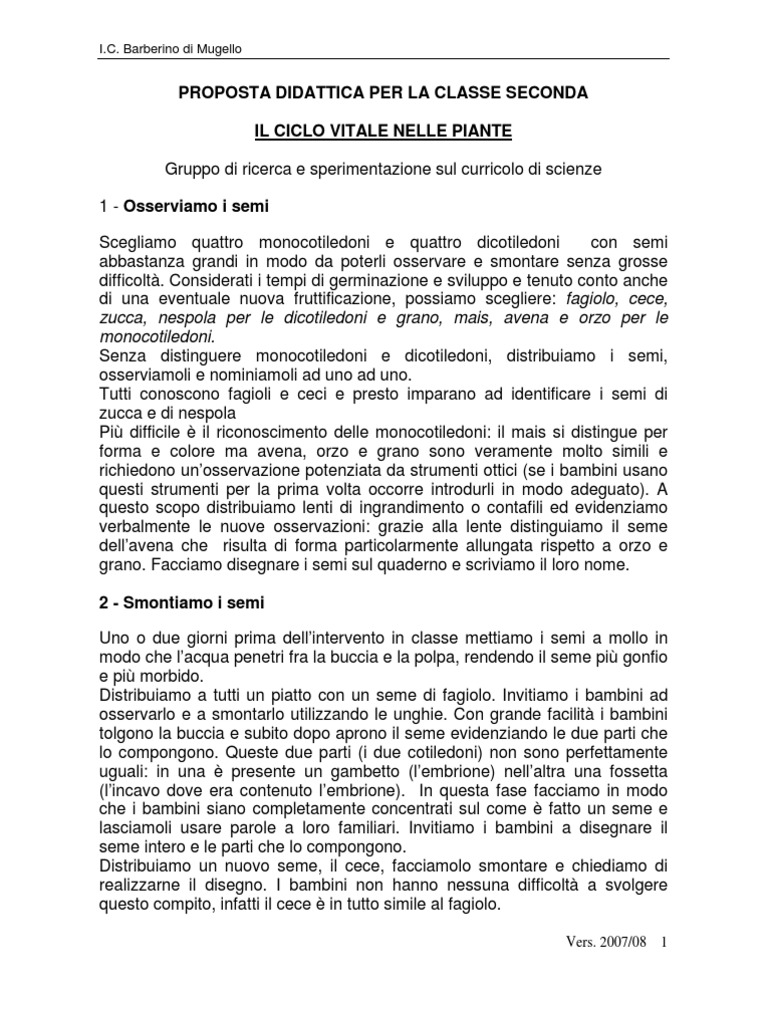 Dal Seme Alla Pianta - Percorso Didattico Classe 2 | PDF, image size:768x1024