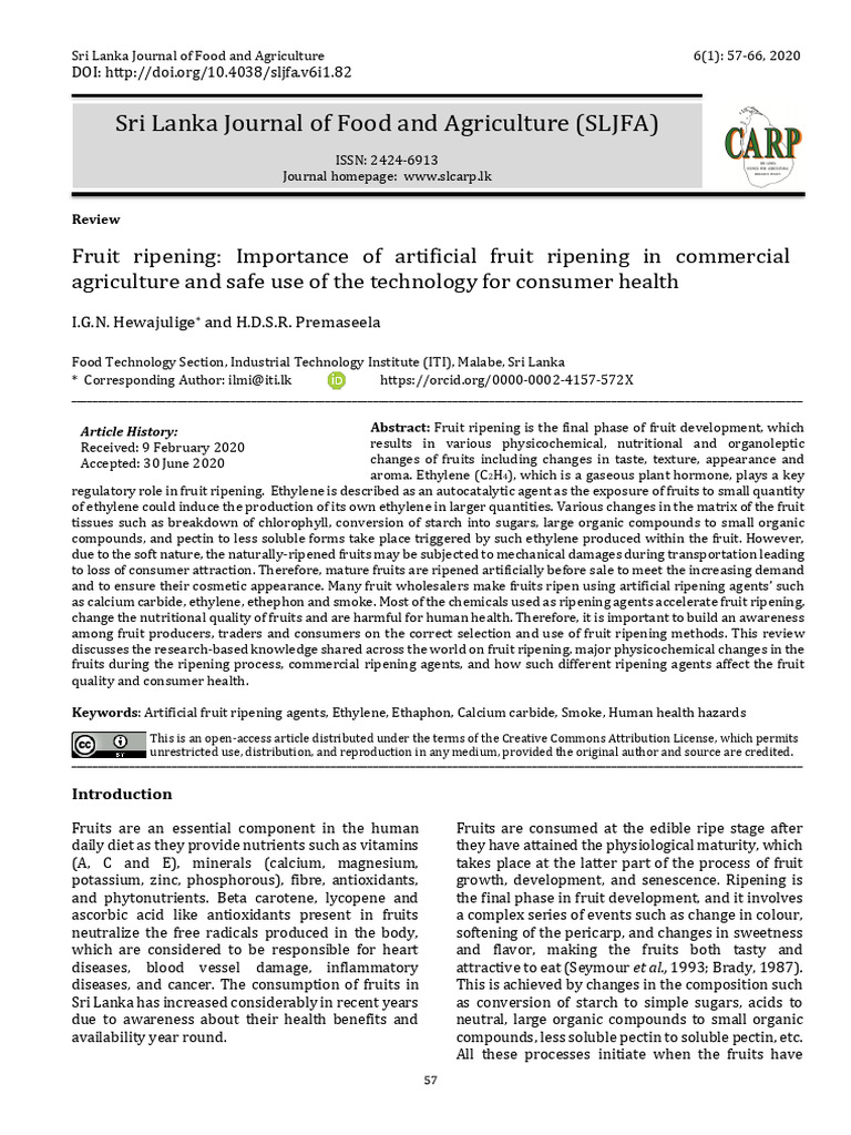 Artificial Fruit Ripening and Health Risks | PDF