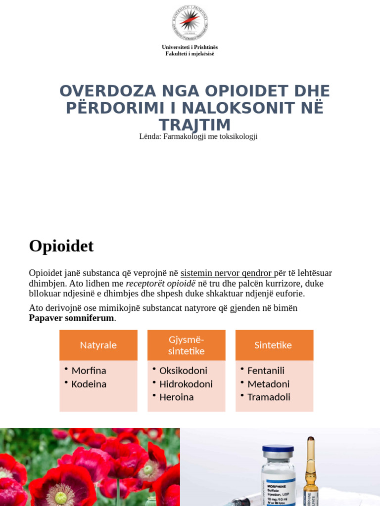 opioidet-pdf