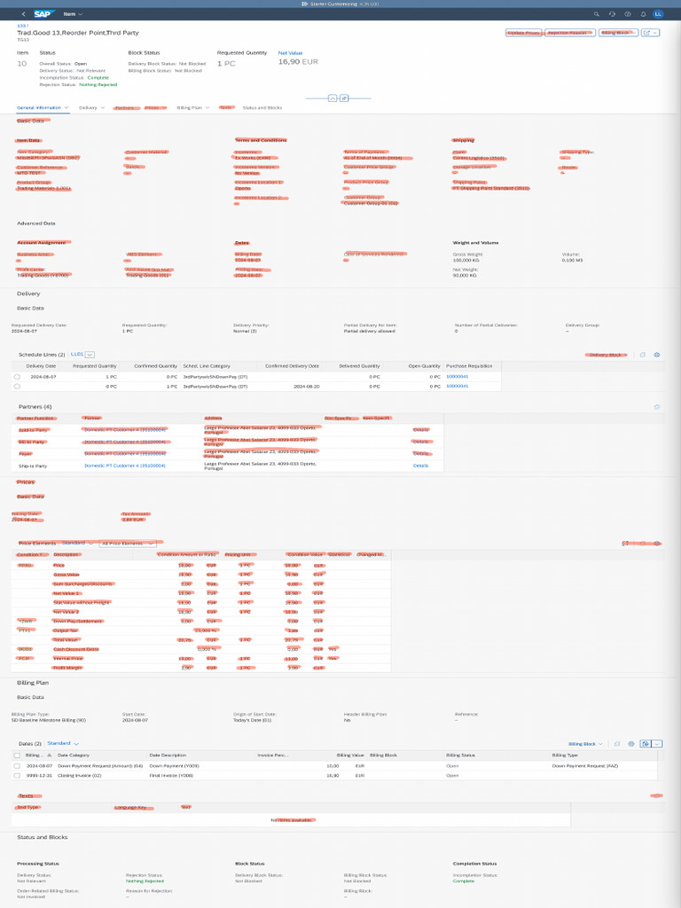 2 Sales Order Item - Customization | PDF