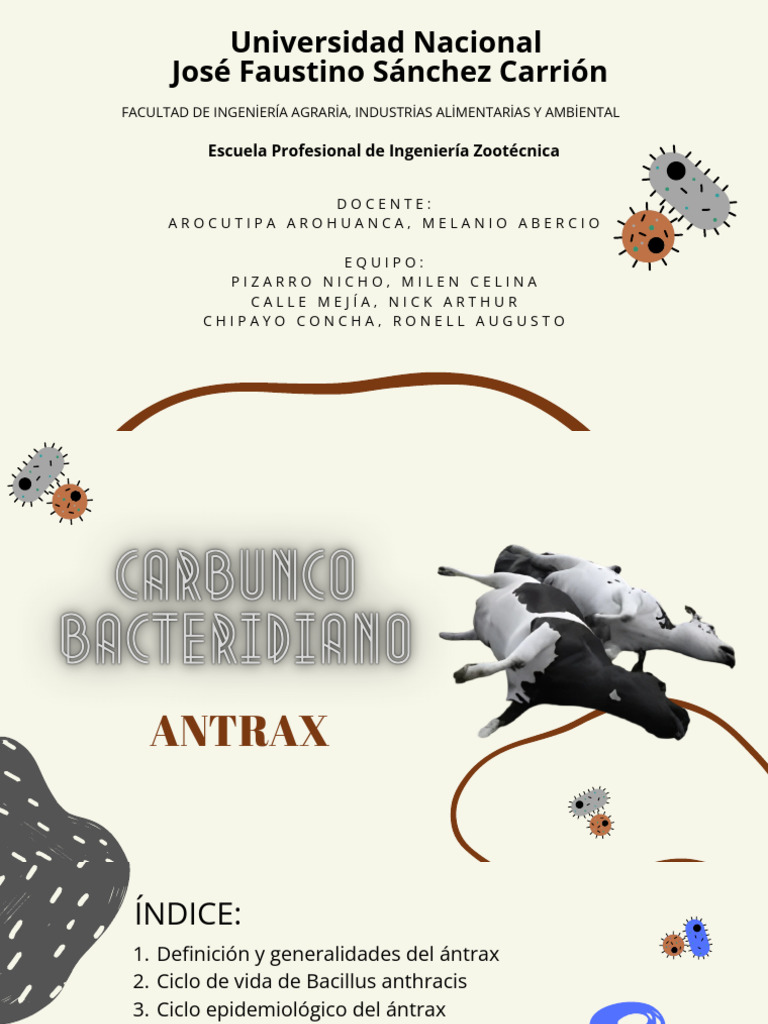 Prevención y Control del Ántrax en Bovinos | PDF | Ántrax | Medicina