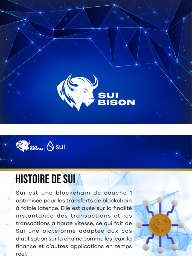 Sui Bison French | PDF