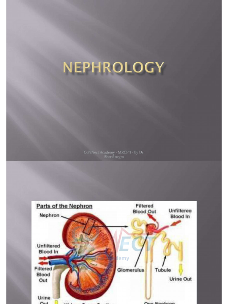 Nephro 2 | PDF