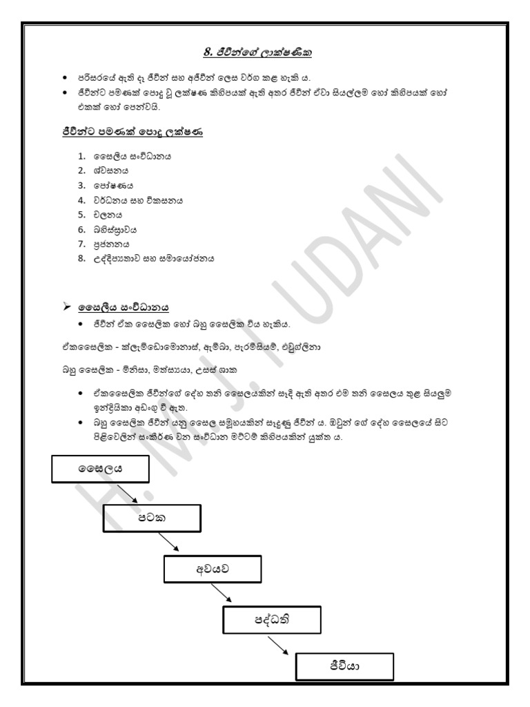 Udani | PDF