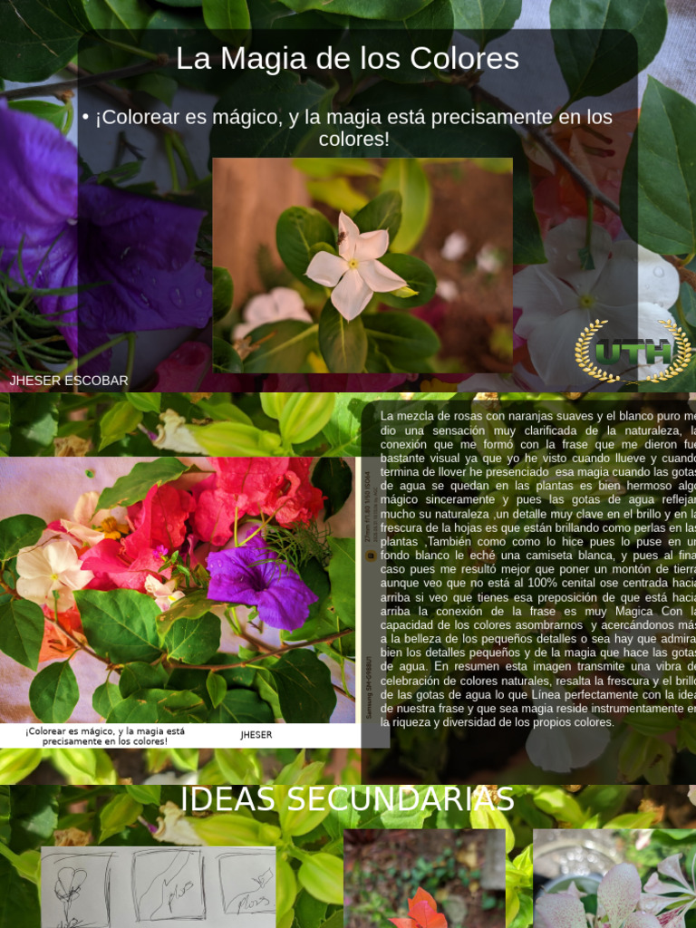 Magia de Los Colores | PDF