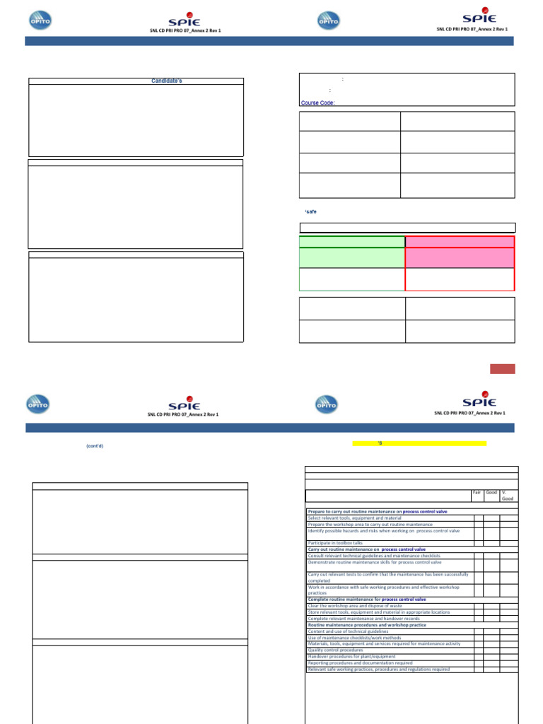 Candidate Performance Assessment Form | PDF