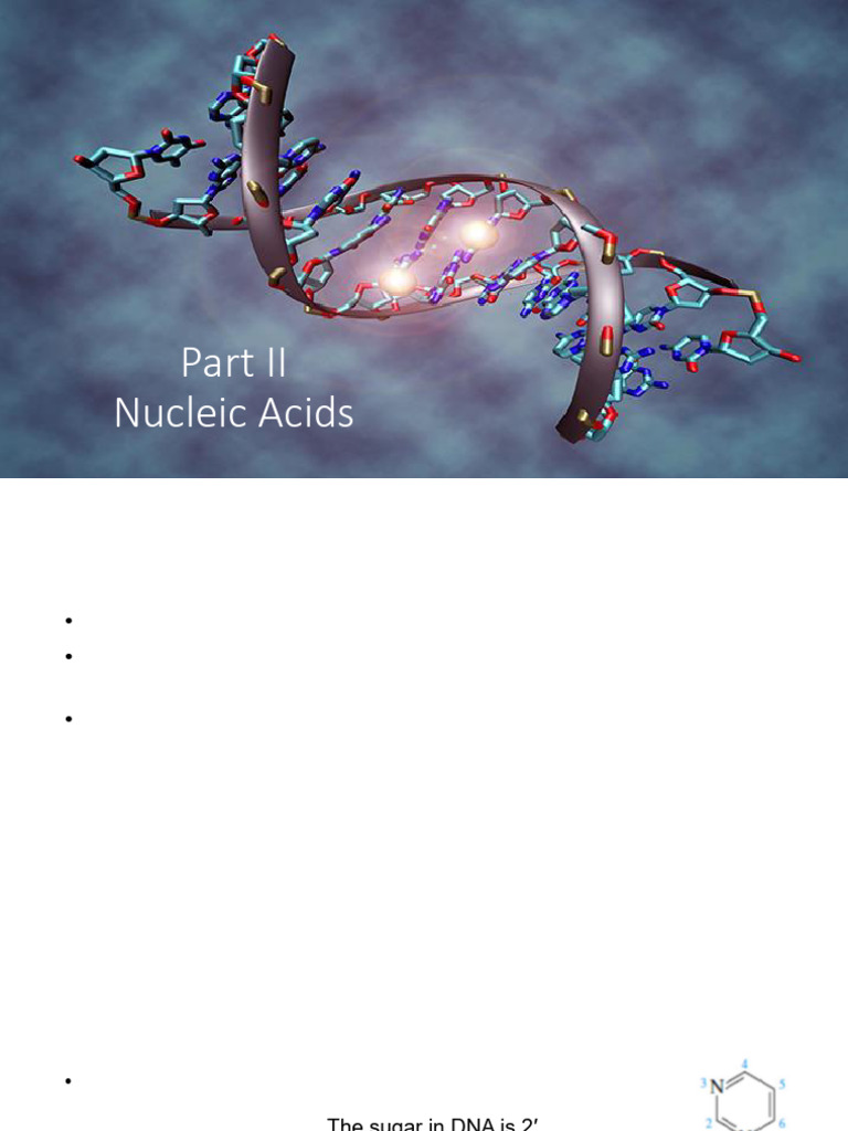 Nucleic Acids: Structure and Functions | PDF | Nucleotides | Dna ...