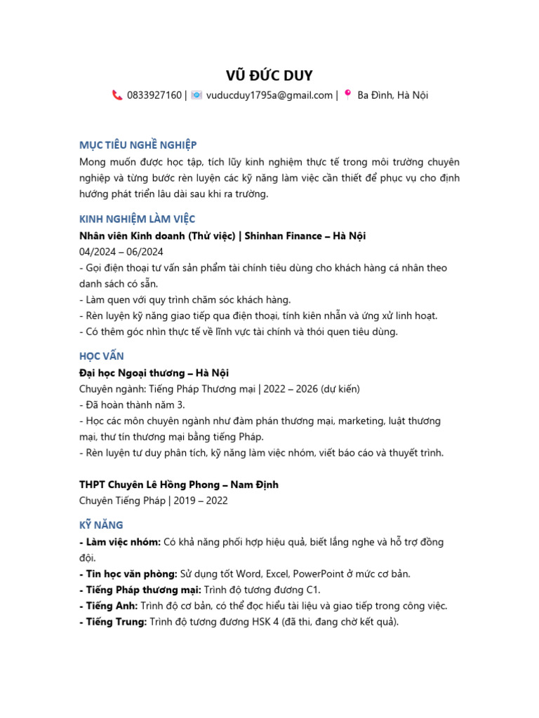 CV Vu Duc Duy | PDF