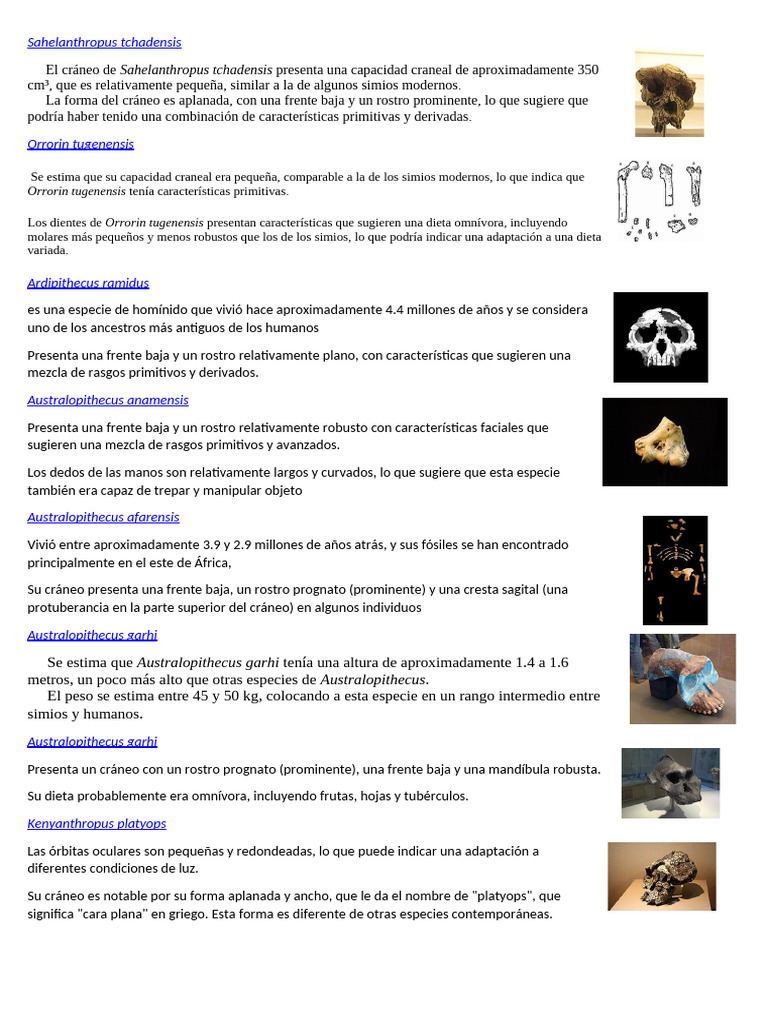 Altura de Australopithecus garhi | PDF | Paleoantropología | Hominini