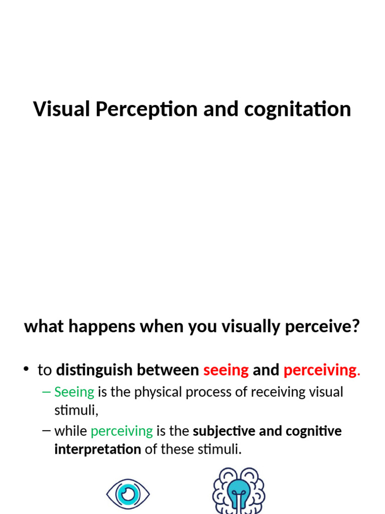 03.visual Perception | PDF | Visual Cortex | Perception