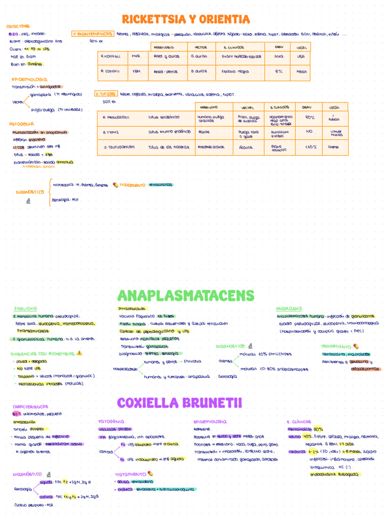 Rickettsia y Orientia: Diagnóstico y Tratamiento | PDF | Microbiología ...